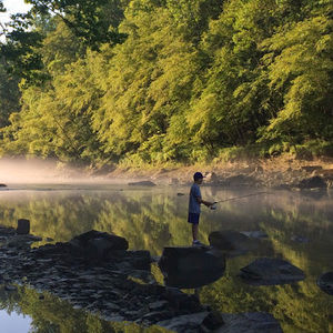 Meet your Posher, Steven d.